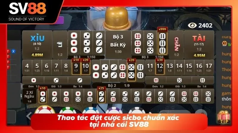 Hướng dẫn các bước chọn chip và xuống tiền đặt cược