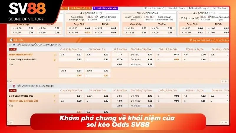 Tìm hiểu về chiến thuật soi kèo Odds cụ thể nhất