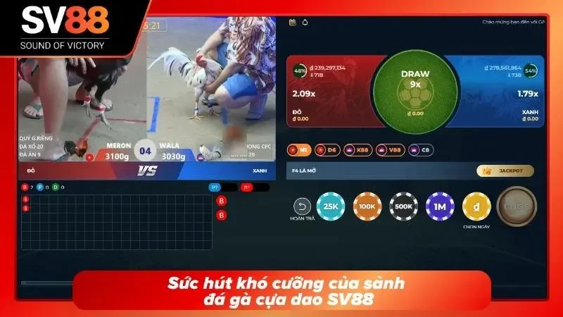 Những trận chiến kịch tính tại sảnh Đá Gà Cựa Dao