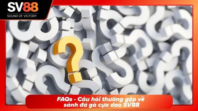 Giải đáp các thắc mắc thường gặp khi chơi Đá Gà Cựa Dao SV88