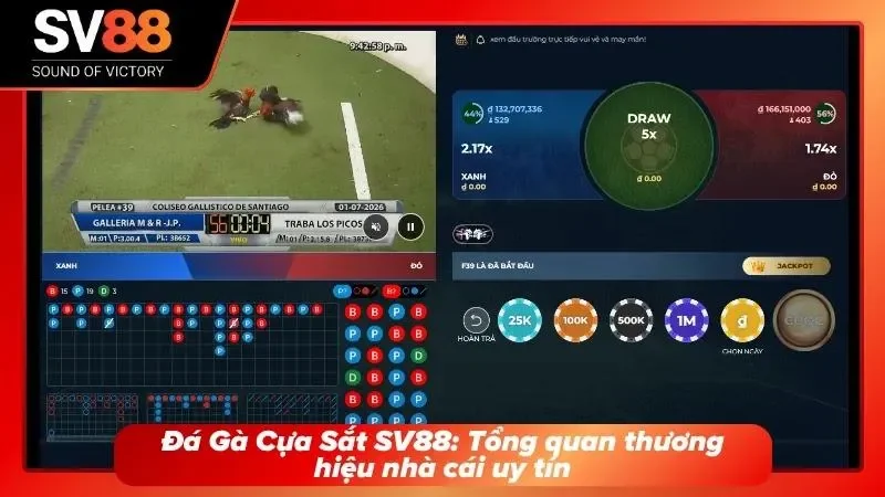 Nền tảng giải trí nổi bật mang đến nhiều lựa chọn hấp dẫn cho người yêu đối kháng
