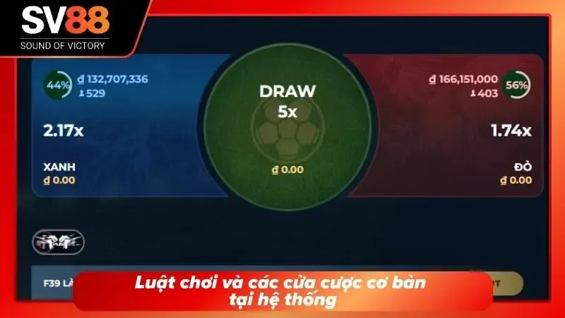 Hướng dẫn những quy tắc quan trọng giúp người mới dễ dàng nắm bắt cách tham gia