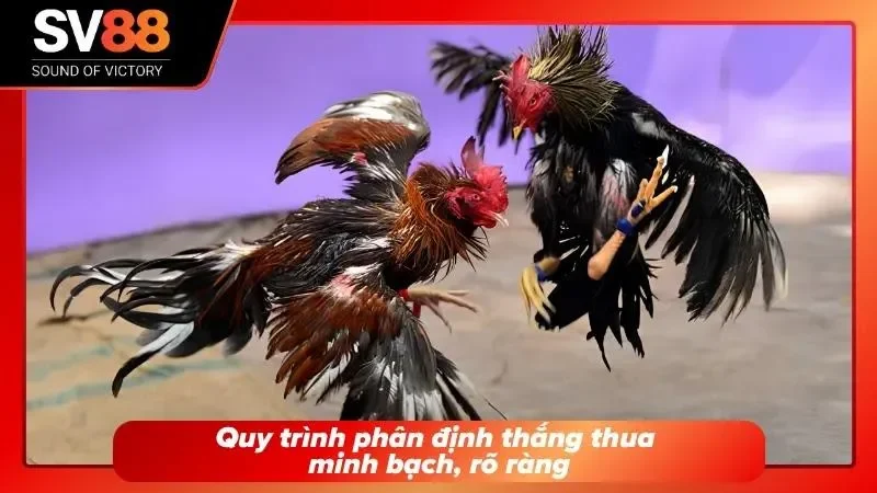 Kết quả được xác định rõ ràng dựa trên diễn biến thực tế và quy định công khai