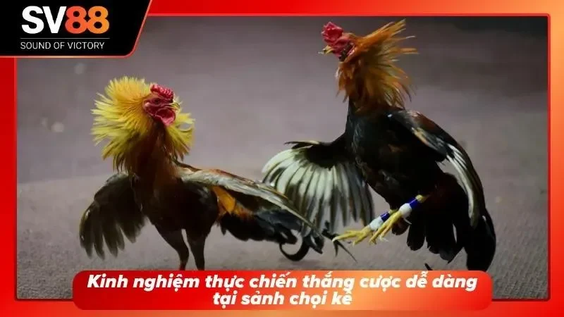 Chia sẻ phương pháp phân tích hiệu quả giúp nâng cao khả năng đưa ra lựa chọn