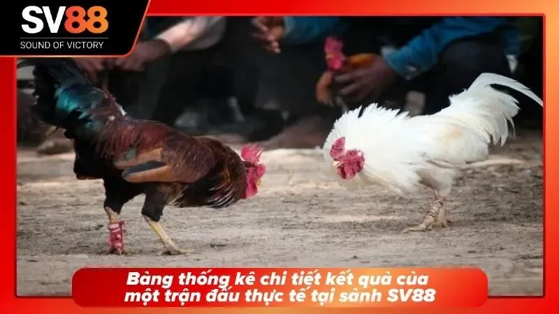 Minh họa số liệu thực tế giúp người xem dễ dàng theo dõi diễn biến và kết quả