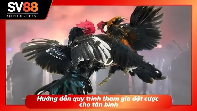 Trang chủ hướng dẫn người chơi thao tác đăng nhập