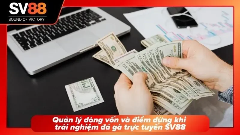 Người dùng nạp tiền vào game để chơi đá gà hợp lý