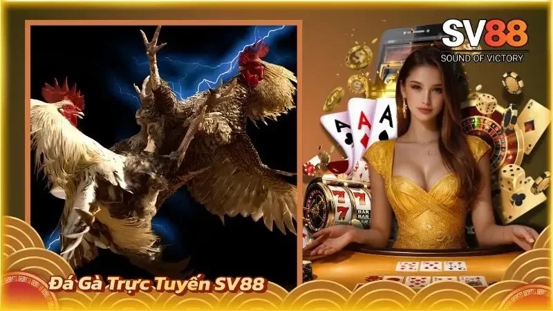 Đá Gà Trực Tuyến SV88
