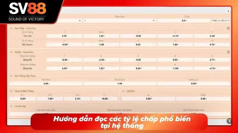 Cách đọc các tỷ lệ chấp phổ biến tại sân