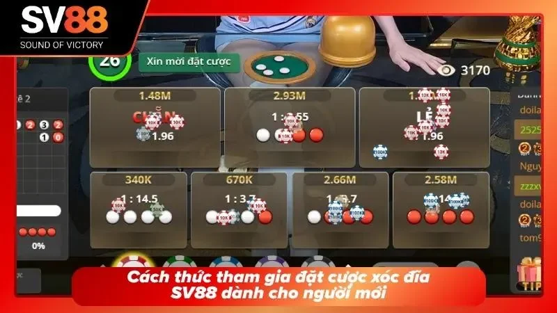 Thao tác đặt cược được tối giản hóa giúp tân binh dễ dàng nhập cuộc